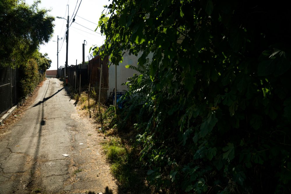 Back Alley in Los Angeles